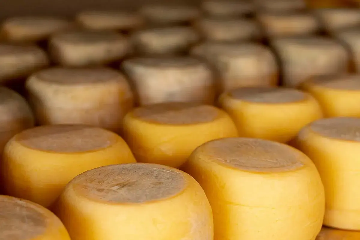 Quesos redondos apilados, listos para aprender como conservar el queso en la nevera.