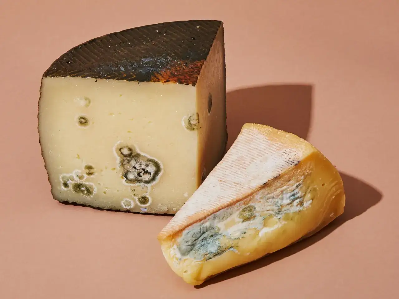 Dos cuñas de queso con diferentes tipos de moho, algunas verdes y otras blancas, sobre fondo rosa.