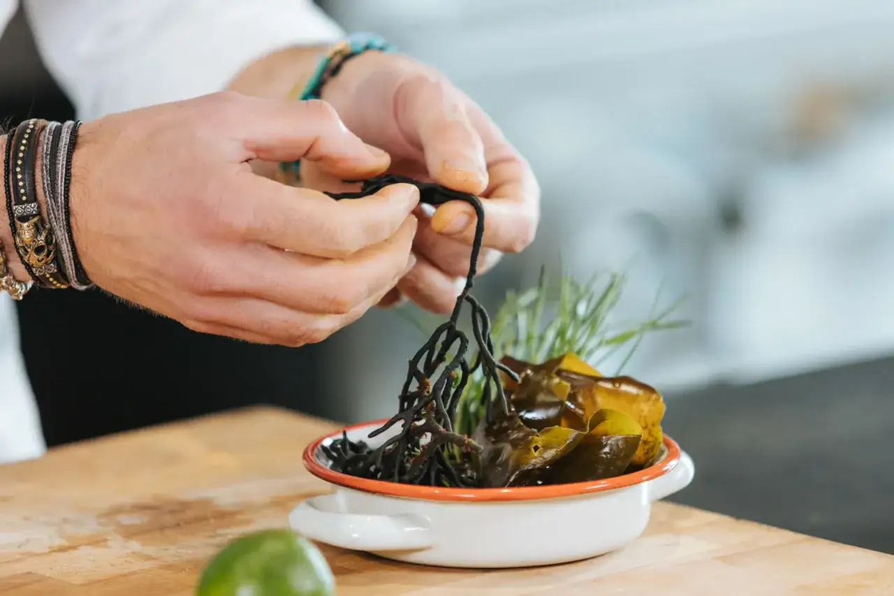 Manos preparan un plato con algas, incluyendo un pimiento de mar, hierbas y hojas verdes.