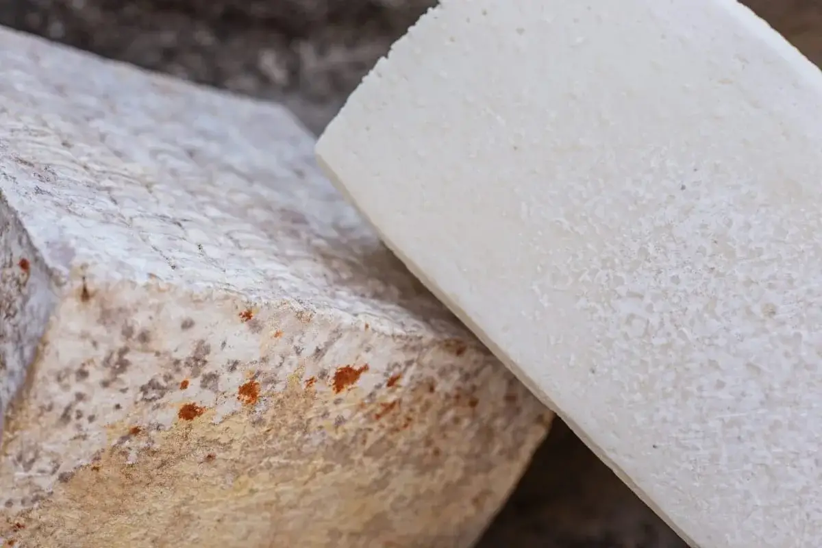 Dos bloques de queso, uno con manchas marrones y rojizas, indicando queso en mal estado, y otro blanco y poroso.