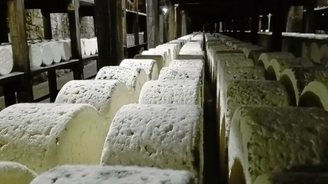 Quesos apilados en una bodega oscura, listos para el proceso de maduraci&oacute;n. As&iacute; se hace el queso roquefort con gusanos, un m&eacute;todo tradicional.