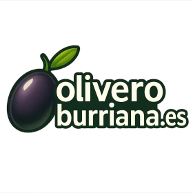oliveroburriana.es