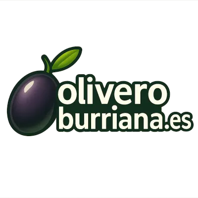 Logo oliveroburriana.es